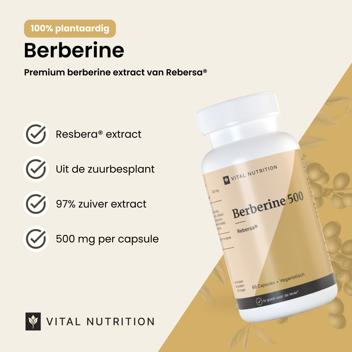 Productvoordelen van Vital Nutrition Berberine 500