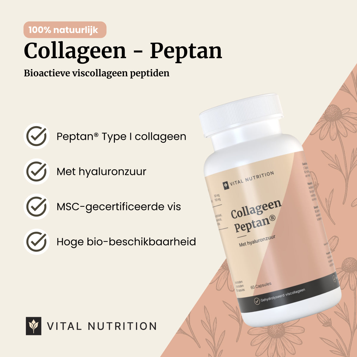 Collageen Peptan Capsules productvoordelen - Vital Nutrition