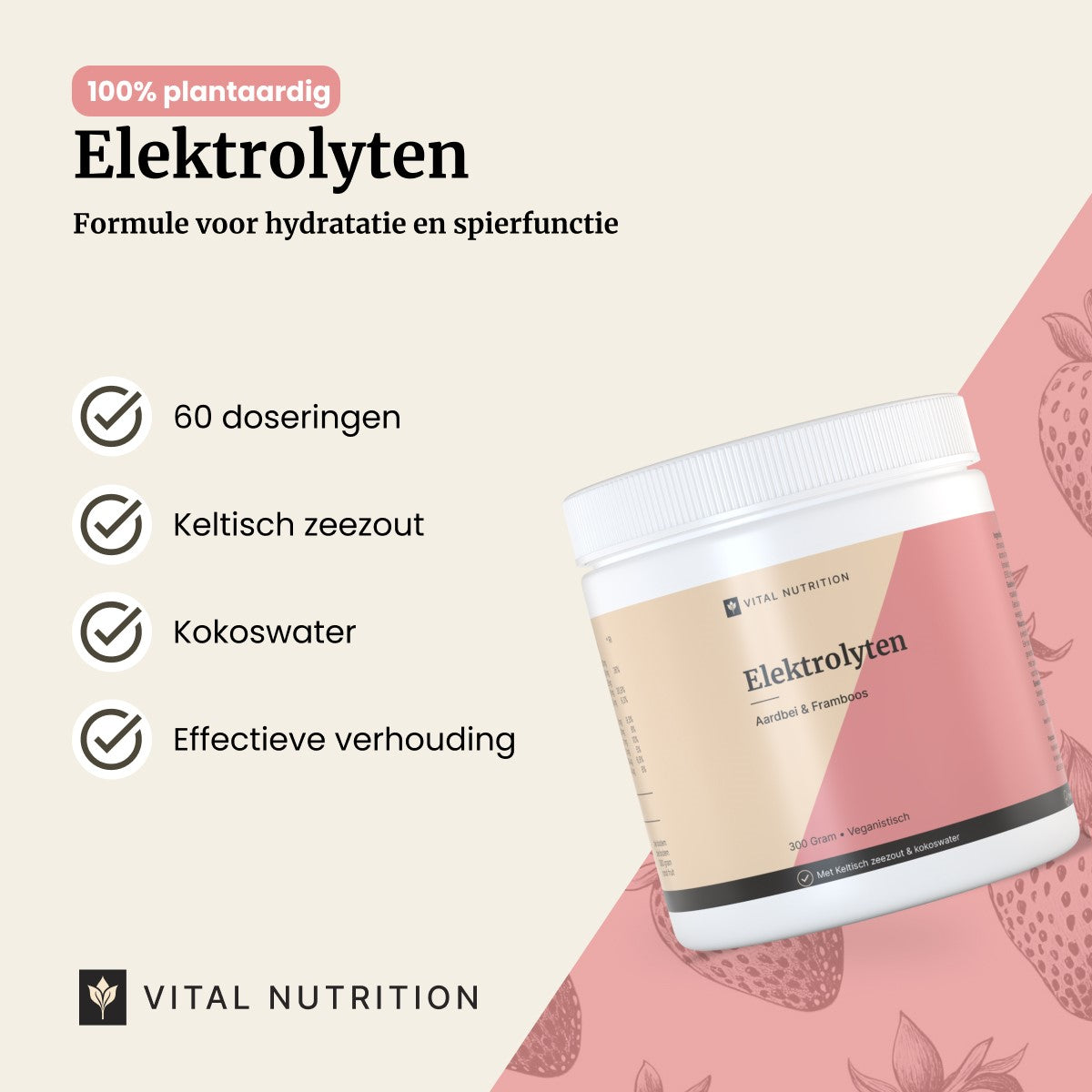 Elektrolyten