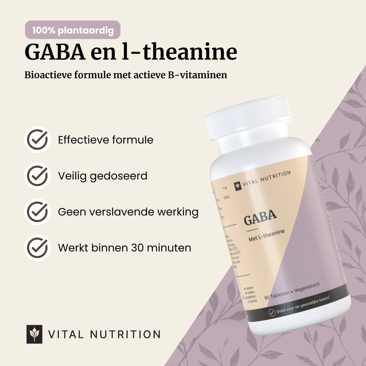 Productvoordelen van GABA Vital Nutrition
