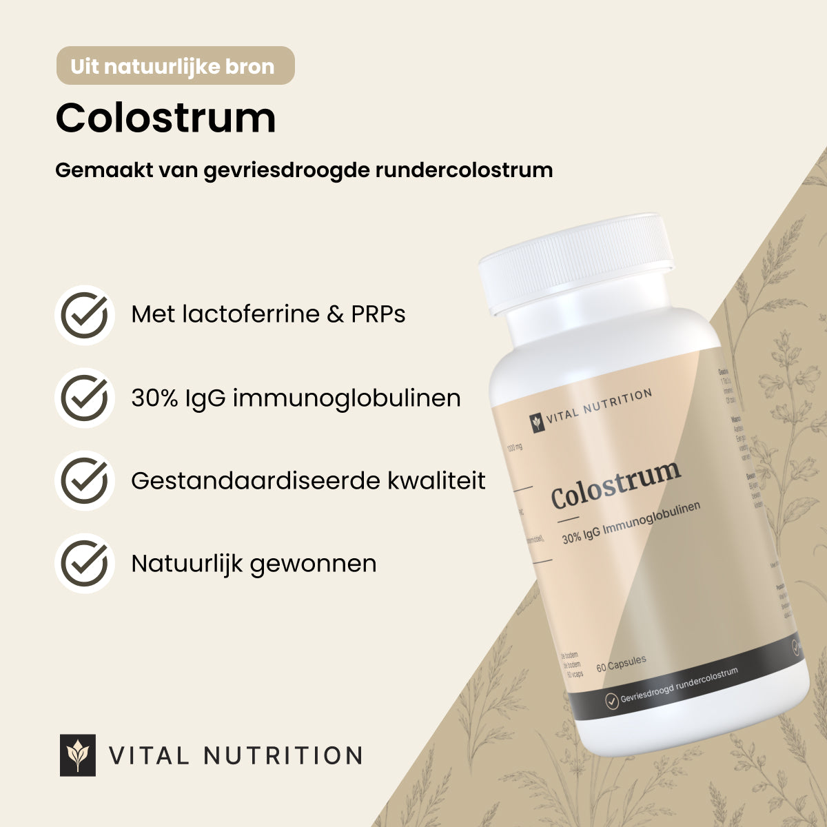 Colostrum productvoordelen - Vital Nutrition