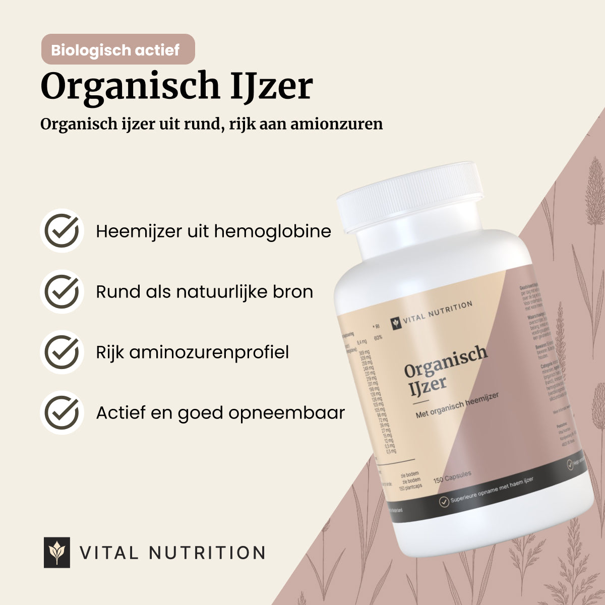 Organisch IJzer productvoordelen - Vital Nutrition
