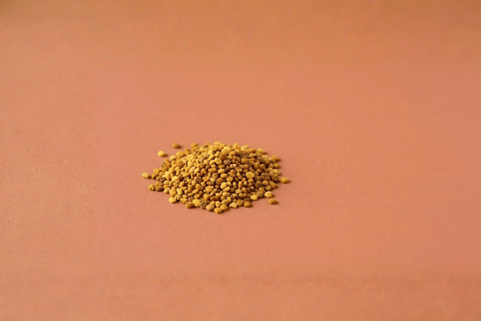 Wat zijn bijenpollen en waar zijn ze goed voor?