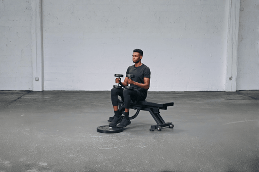 dumbbell seated calf raise