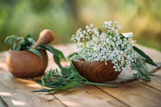 Valeriaan kruid buiten op houten tafel