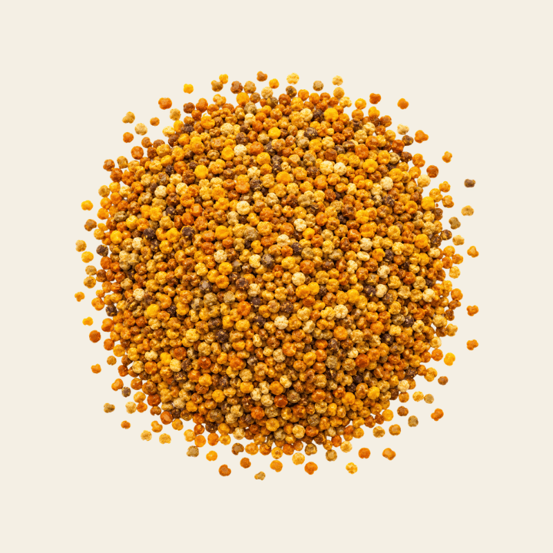 Bijenpollen bolletjes in een rijke mix van goudgeel, diep amber, warm bruin en crème tinten