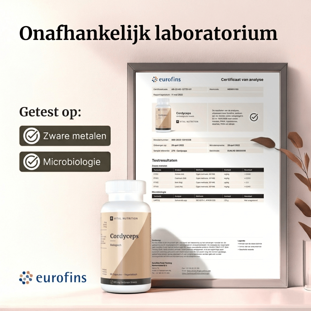 Certificaat van analyse - Vital Nutrition Cordyceps