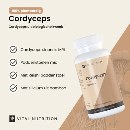 Cordyceps