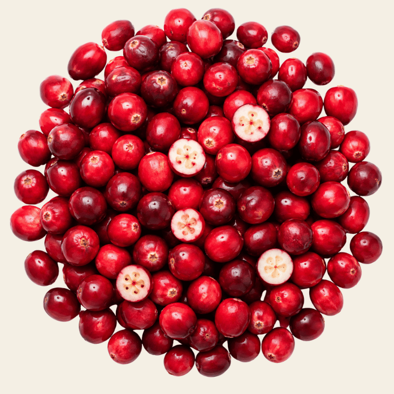 Verse cranberries in een ronde compositie