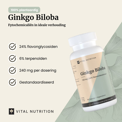 Ginkgo Biloba