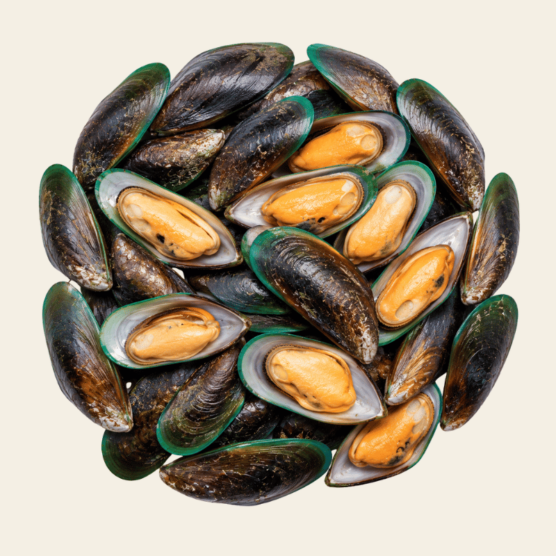 Groenlipmossel met donkerblauwe schelpen en kenmerkende smaragdgroene rand langs de schelp