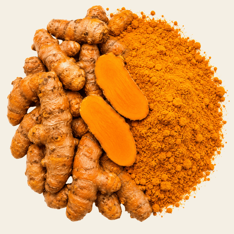 Verse kurkumawortels met oranje doorsnede en hoop goudgeel kurkumapoeder