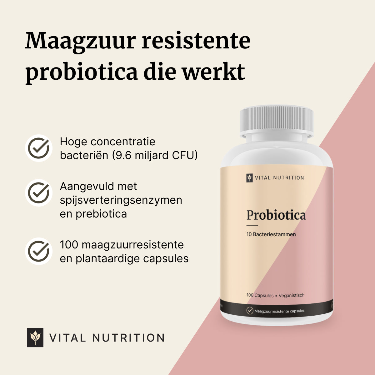 Beschrijving van de voordelen van Probiotica van Vital Nutrition