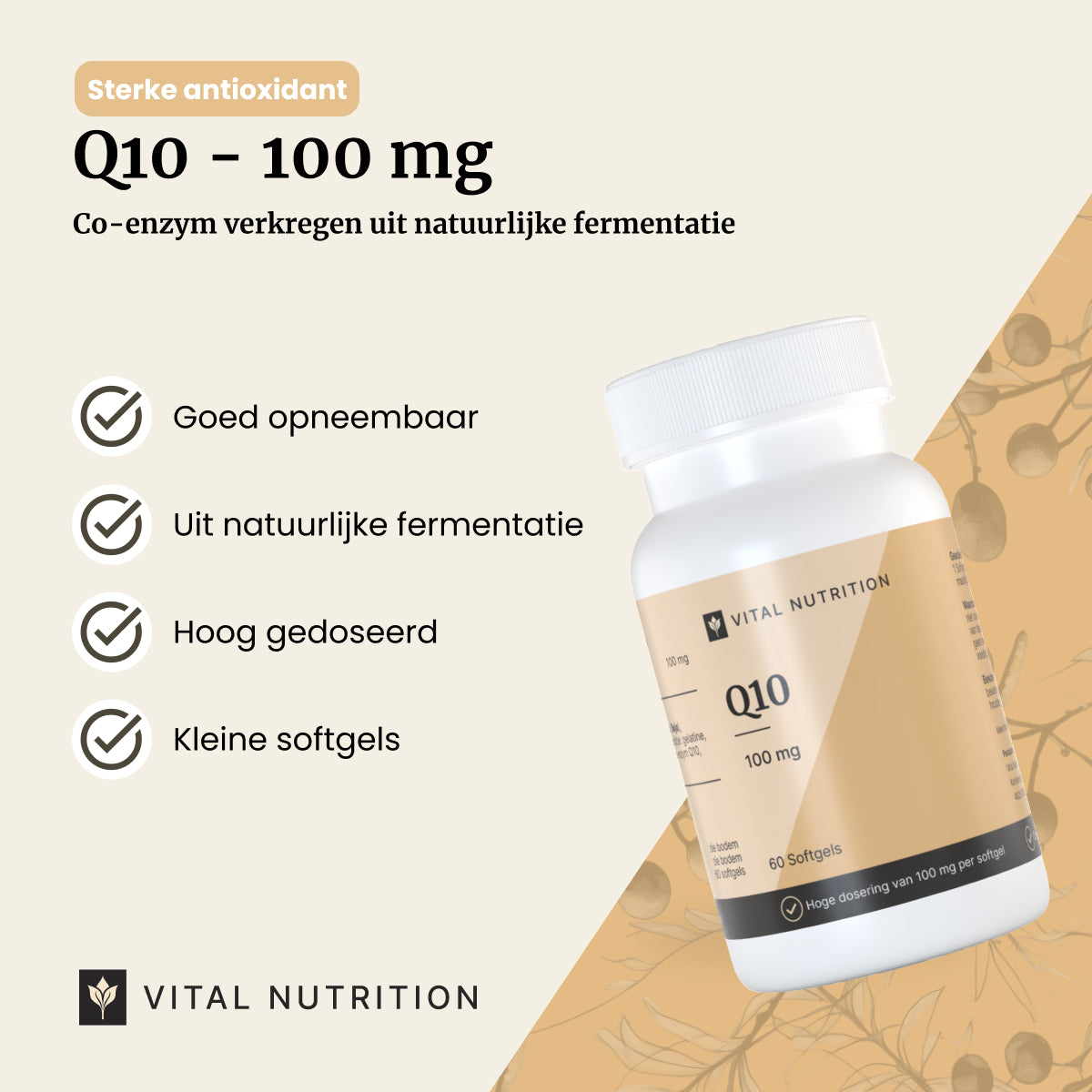 Productvoordelen van Vital Nutrition Q10 - 100 mg