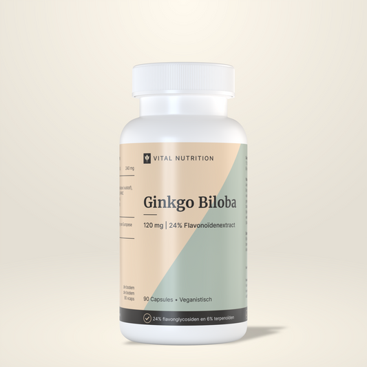 Ginkgo Biloba