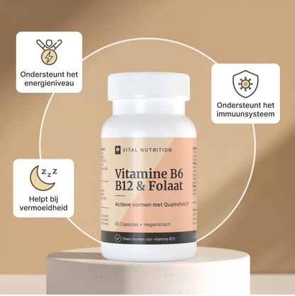 Gezondheidsvoordelen van Vital Nutrition Vitamine B6 B12 en Folaat