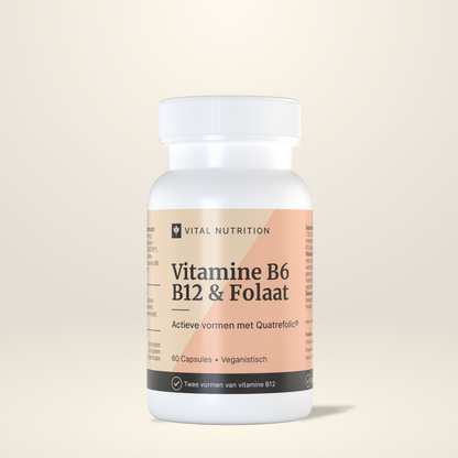 Vitamine B6 B12 Folaat van Vital Nutrition