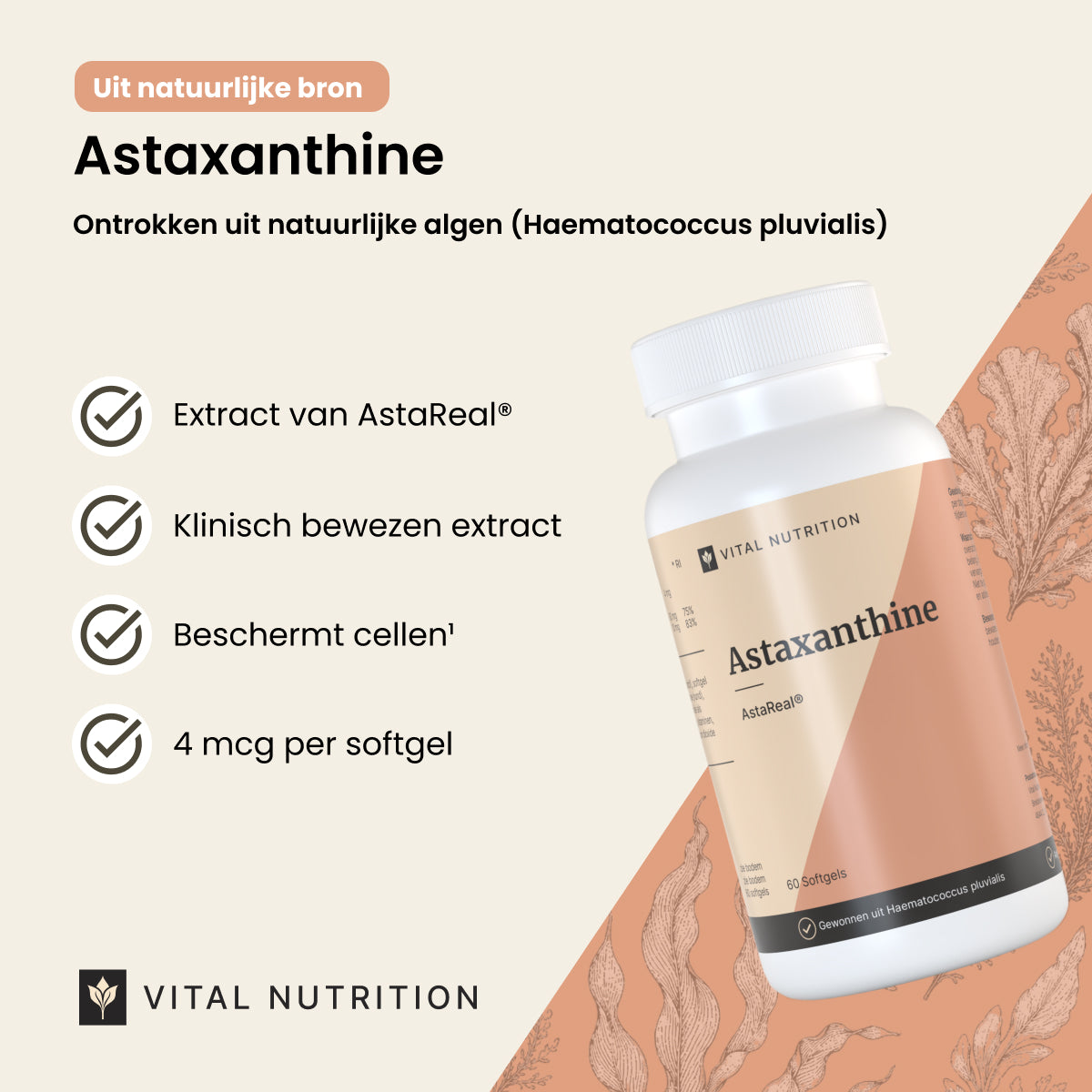 Astaxanthine productvoordelen - Vital Nutrition