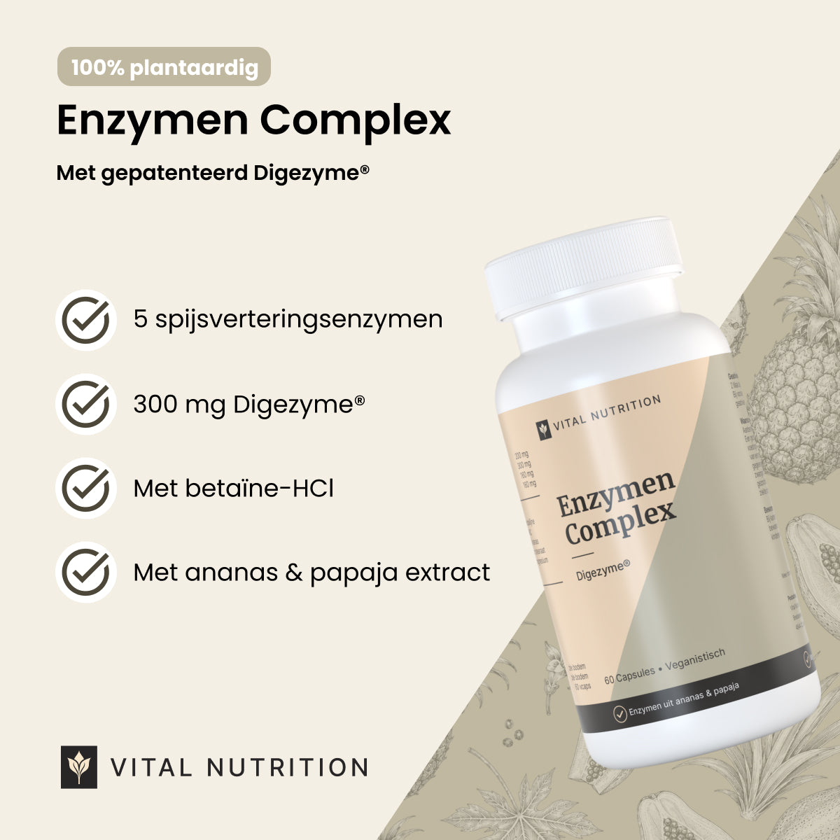 Enzymen Complex productvoordelen - Vital Nutrition