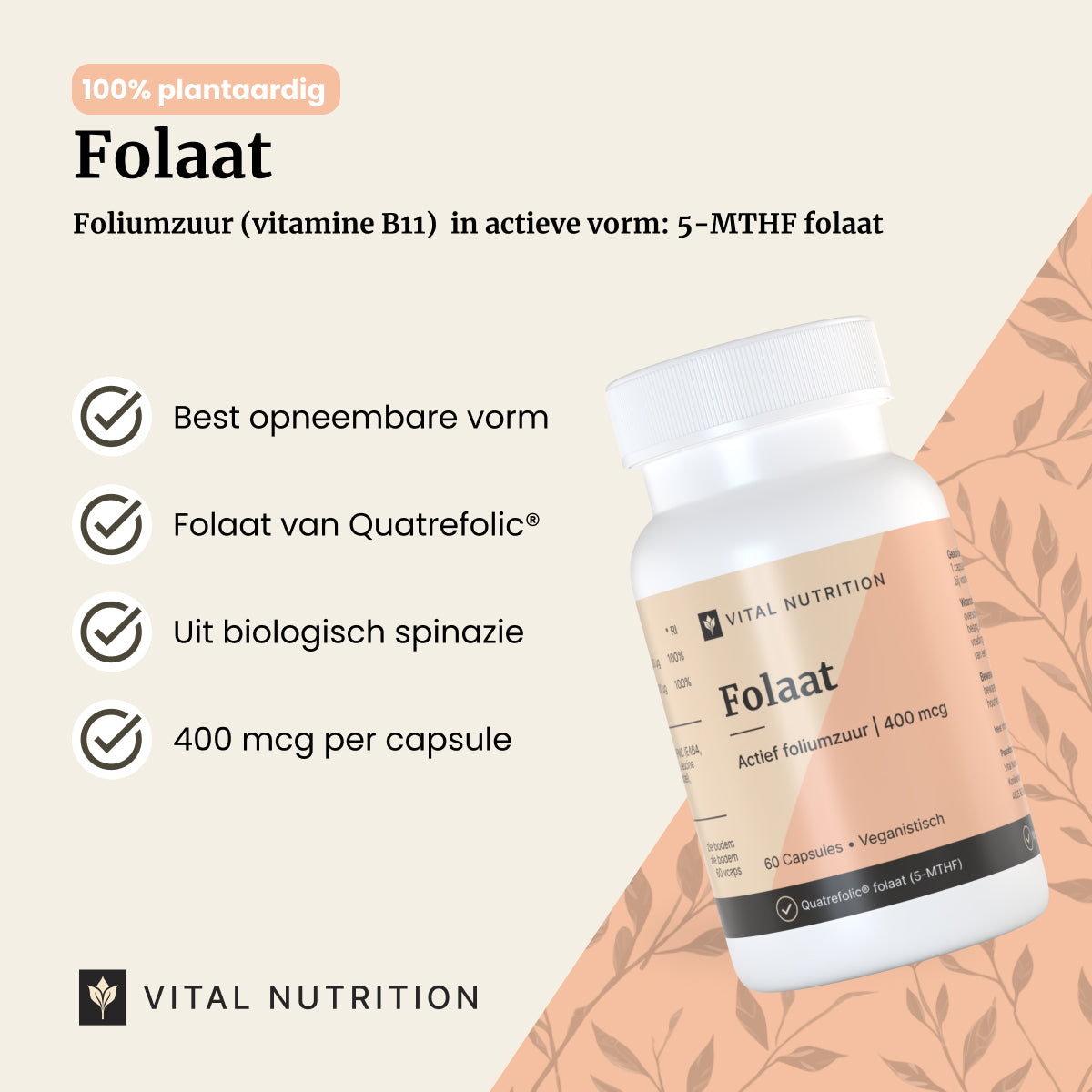 Folaat productvoordelen - Vital Nutrition