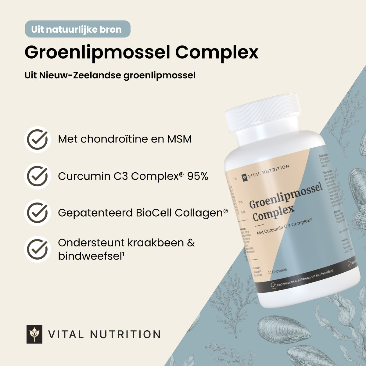 Groenlipmossel Complex productvoordelen - Vital Nutrition