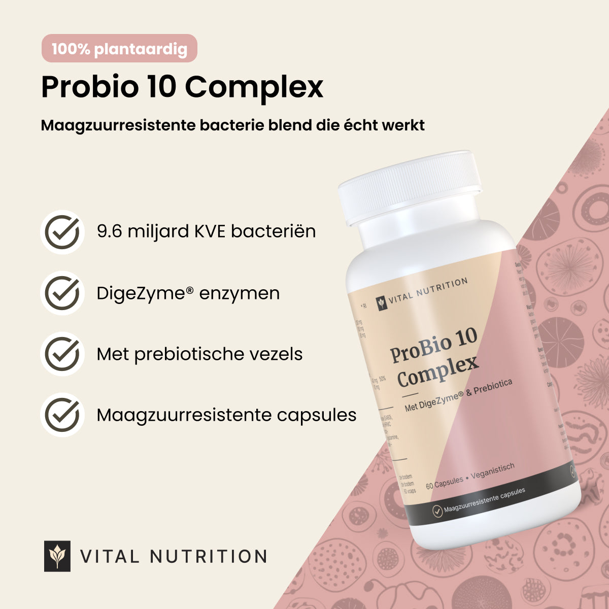 Product voordelen van ProBio 10 Complex probiotica van Vital Nutrition