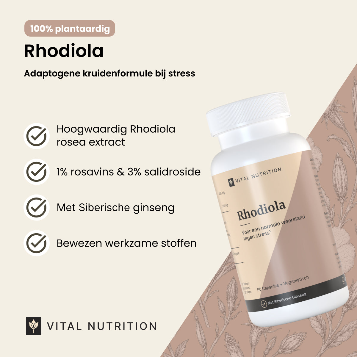 Rhodiola productvoordelen - Vital Nutrition