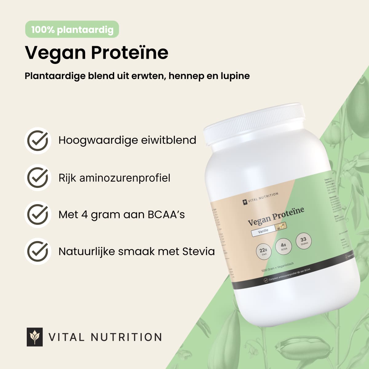Vegan Proteine productvoordelen - Vital Nutrition