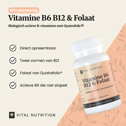 Vitamine B6 B12 en Folaat productvoordelen - Vital Nutrition