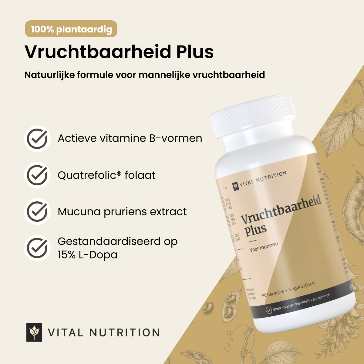 Vruchtbaarheid Plus Man productvoordelen - Vital Nutrition